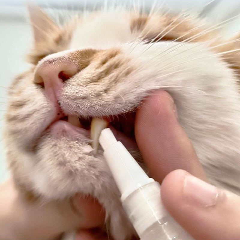 Nieuwe verbeterde tandenborstelpen voor huisdieren