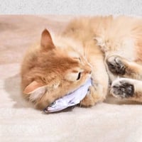 Levensechte Klappende Vis Kattenspeeltje