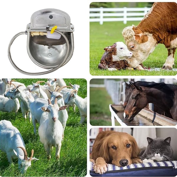 7_77d870df-68f5-4a50-bcb3-2d96955b45fa