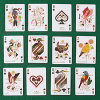 North American Birds Playing Cards