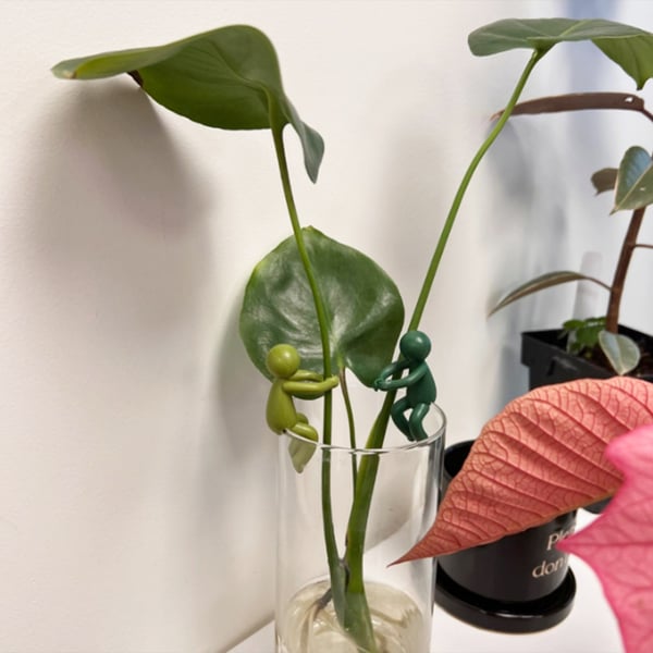 e42e596065c7d8676a3eade5adf4b83b