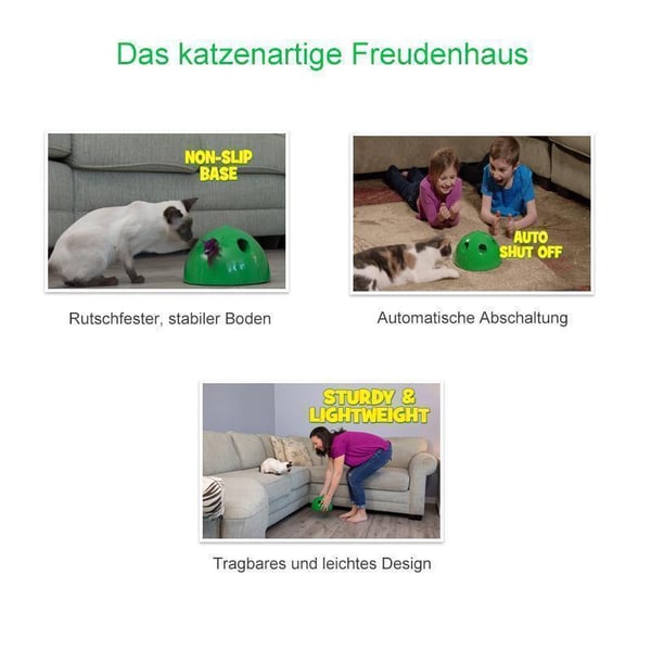 Das Guck-Guck-Spiel für die Katze