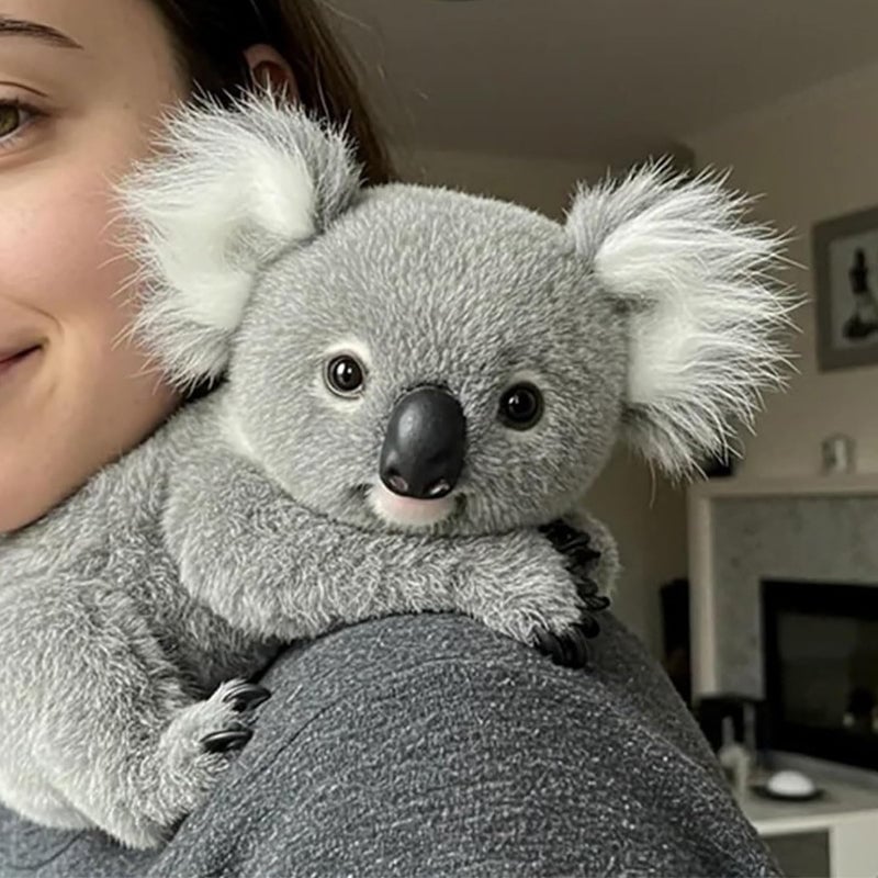 Cartoon Koala Plüschtier
