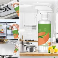 Electrolyzed Ion Kitchen Cleaner Spray