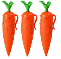 Portable Carrot Voice Recorder Ballpoint Pen