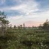 Mike Rodriguez