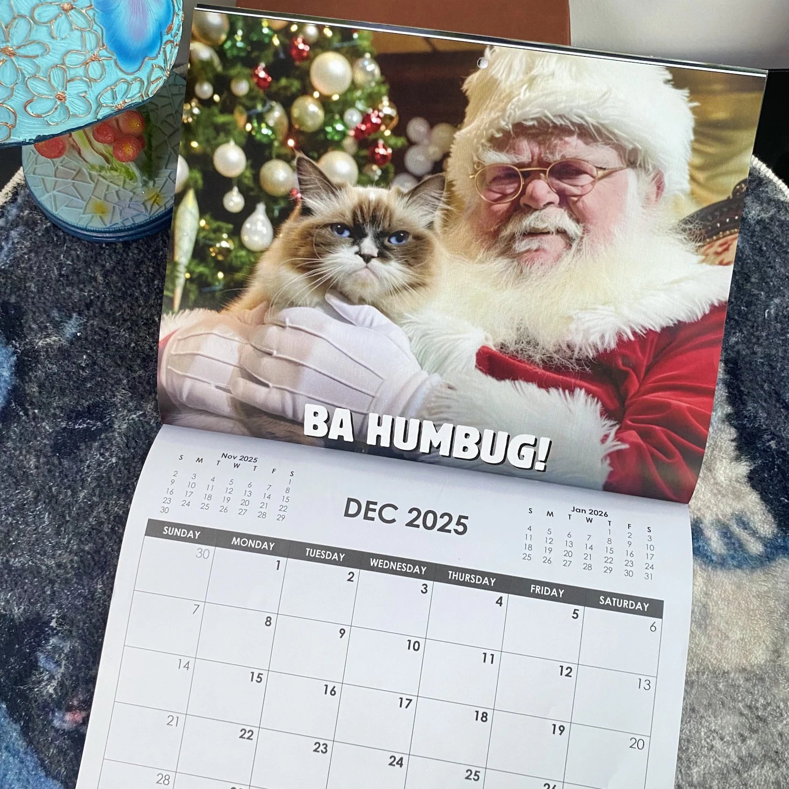 2025 Pissed-off Cats Calendar