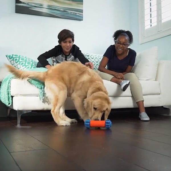 Mobile Automatic Dog Toy