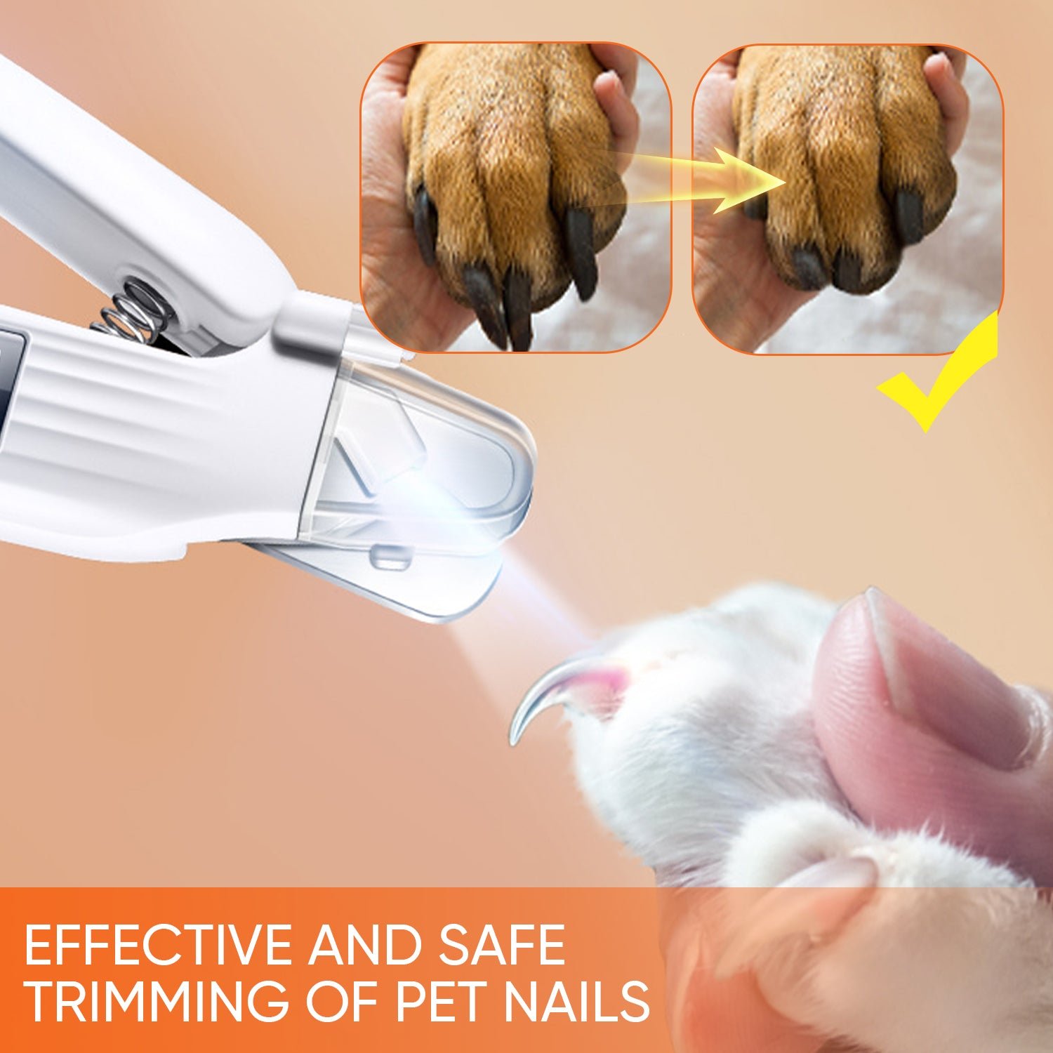 3_bfdd8659-93b3-4f37-9e68-1bf080014ab4