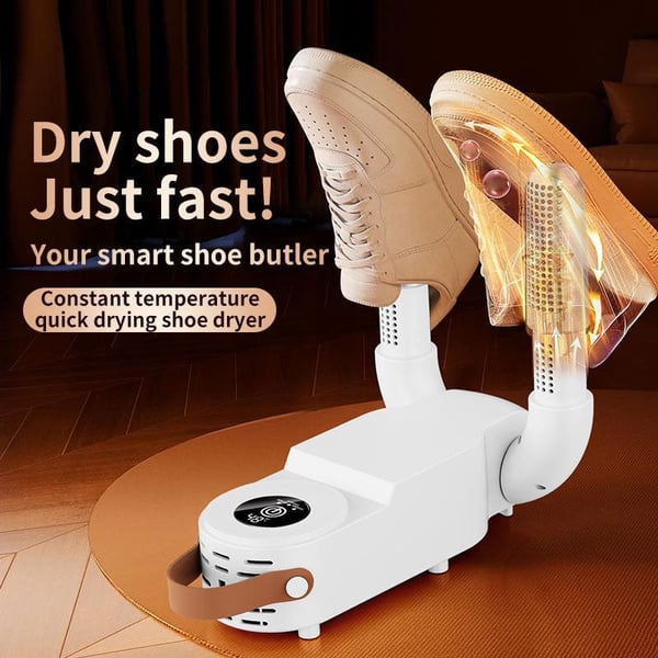 Electric Shoe Dryer
